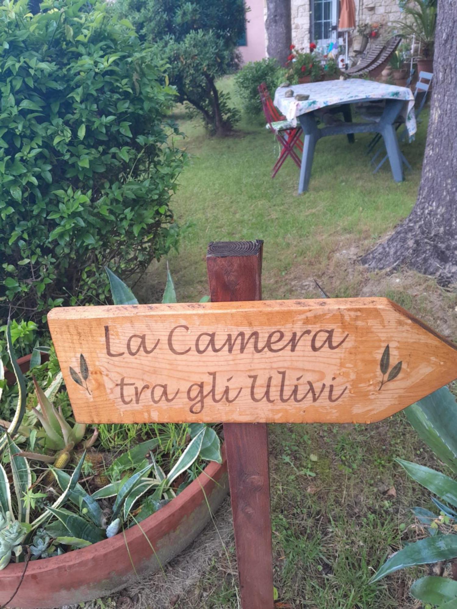 La Camera Tra Gli Ulivi Dream Finale Finale Ligure Exterior foto